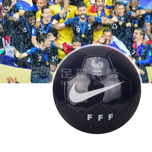 专柜正品NIKE 法国2020欧洲杯 收藏迷你足球